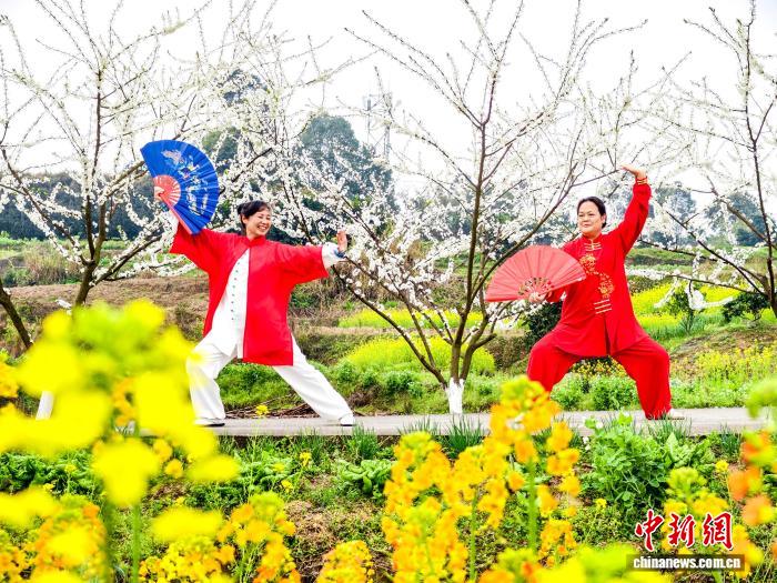 娛樂城：四川郃江：油菜花開春意濃