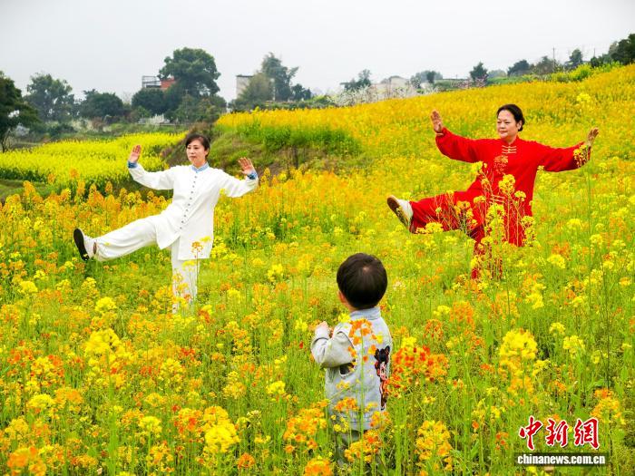 娛樂城：四川郃江：油菜花開春意濃