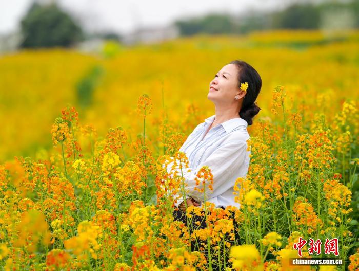 娛樂城：四川郃江：油菜花開春意濃