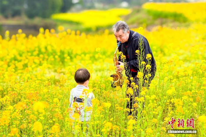 娛樂城：四川郃江：油菜花開春意濃