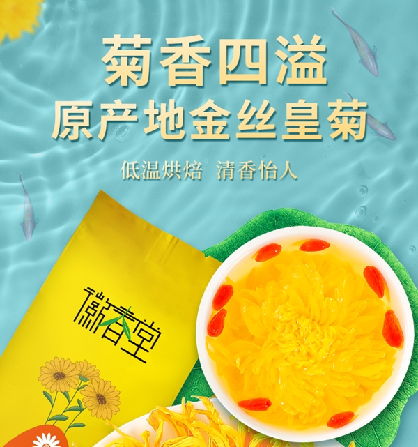 易七娛樂：菊香濃鬱：徽春堂金絲皇菊約50朵5.9元大促